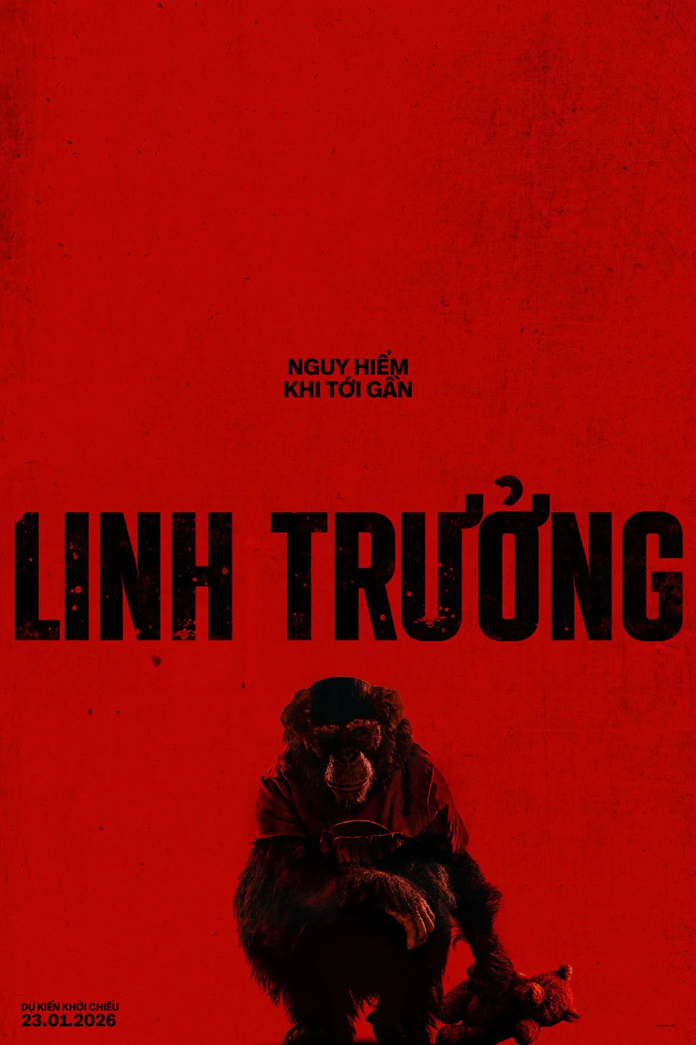 Linh Trưởng